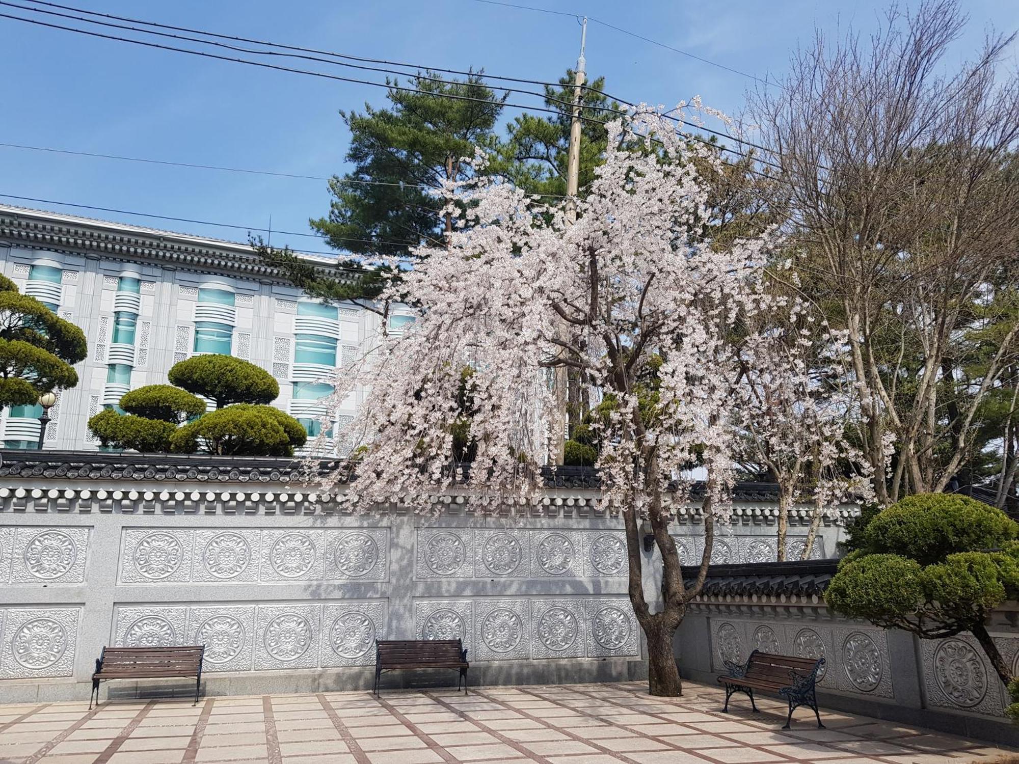 Hotel Gaya Seongju Extérieur photo